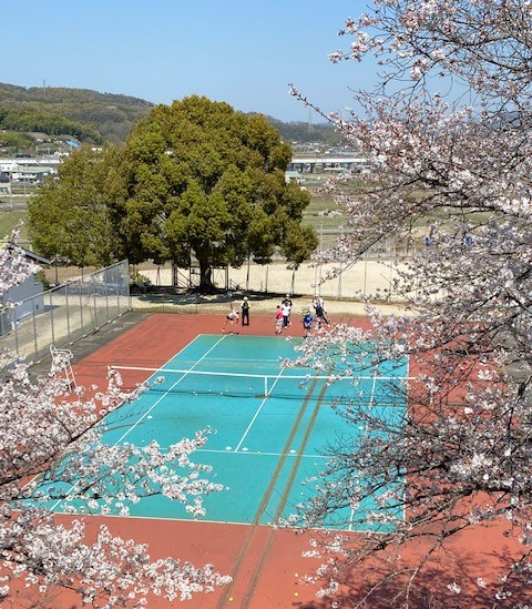 さくら２.jpg