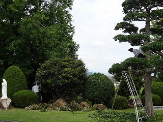 DSC00005.jpg
