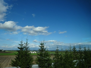 DSC00162.jpg