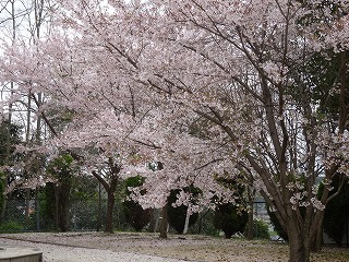 DSC01190.jpg