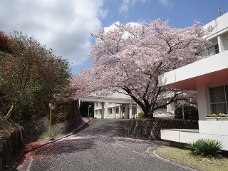 DSC01201.jpg