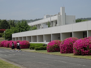DSC01251.jpg