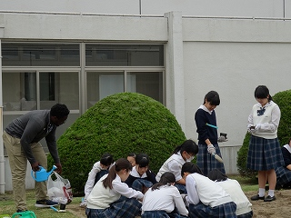 DSC01252.jpg