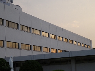 DSC01291.jpg