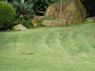 DSC01294.jpg