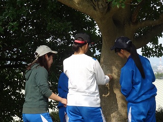 DSC01431.jpg