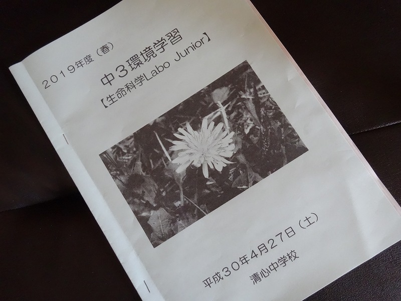 DSC01812.jpg
