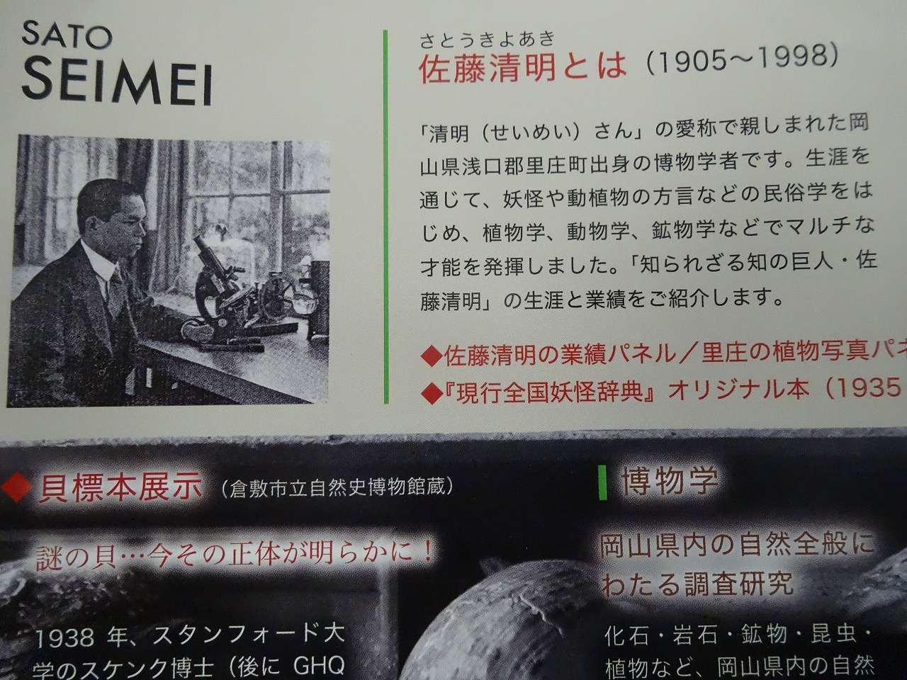 DSC01833.jpg
