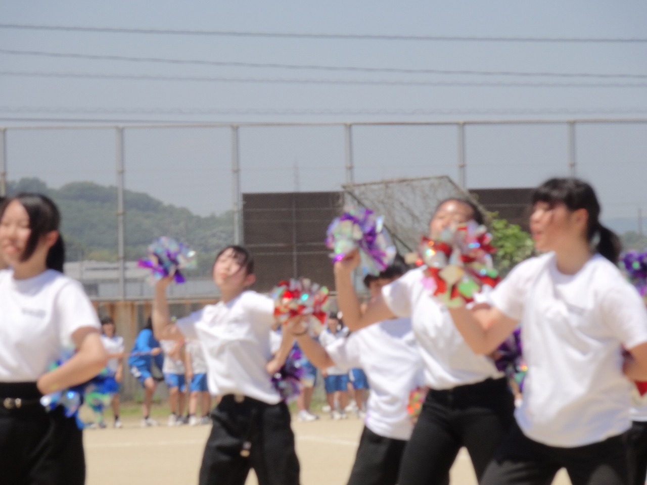 DSC01862.jpg