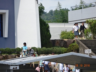 DSC03156.jpg
