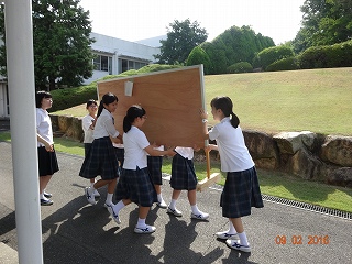 DSC03172.jpg