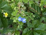 IMG_0713.jpg