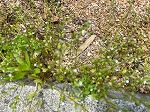 IMG_0714.jpg
