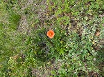 IMG_0717.jpg