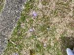 IMG_0725.jpg