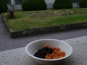 DSC01263.JPG