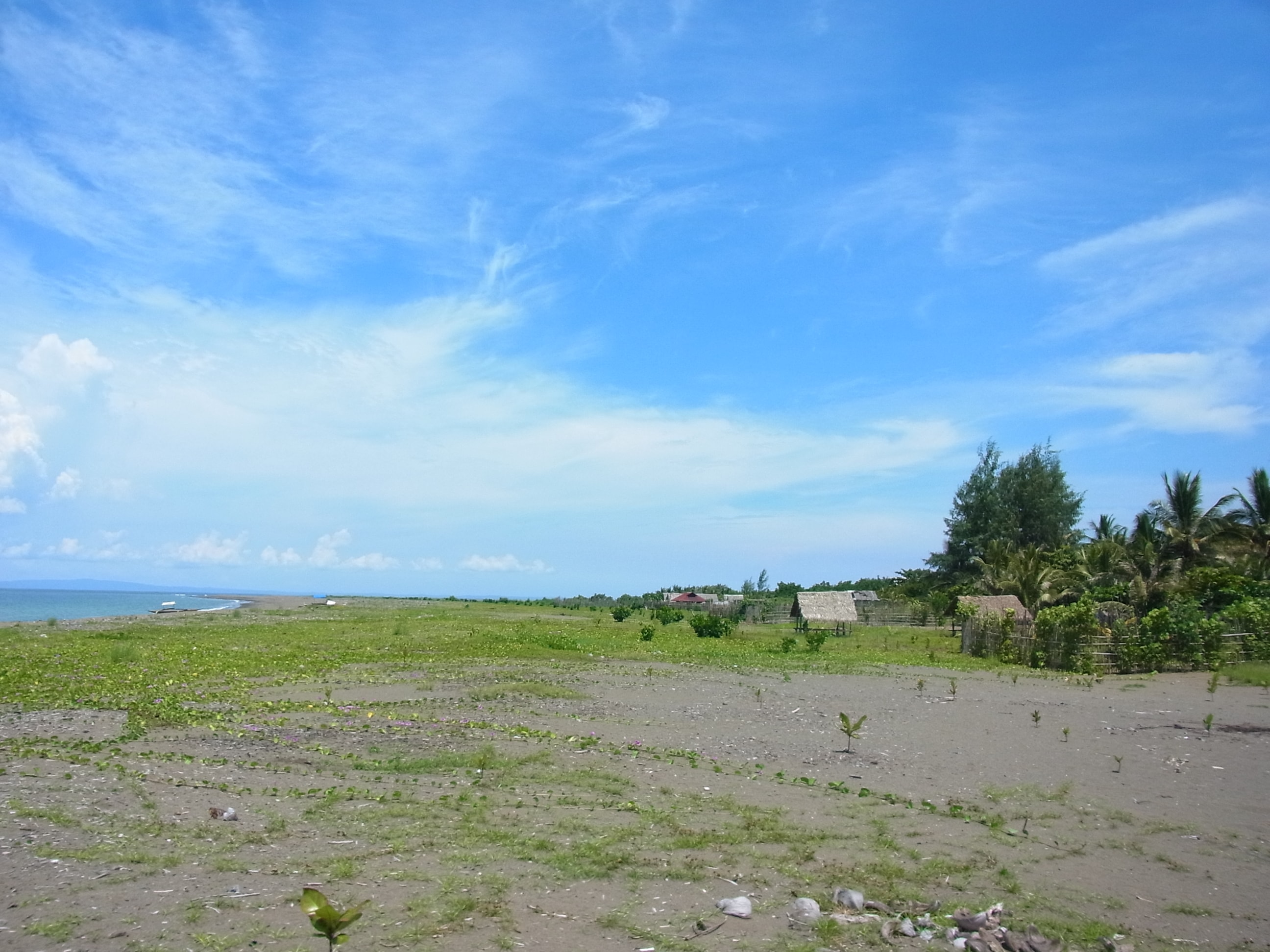 R0022623.JPG