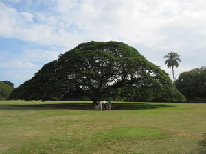 IMG_6426.JPG