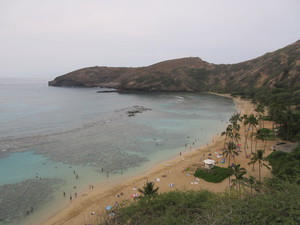 IMG_6761.JPG