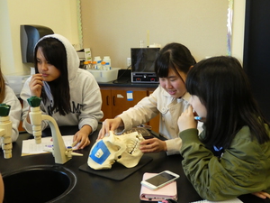 10 biology 3.JPGのサムネイル画像