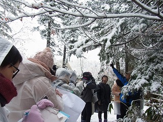 北海道自然環境.jpg