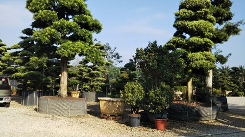 IMG_20180320_080517.jpg