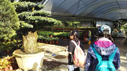 IMG_20180320_080704.jpg