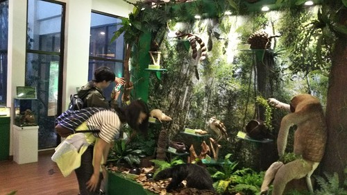 IMG_20180321_172101.jpg