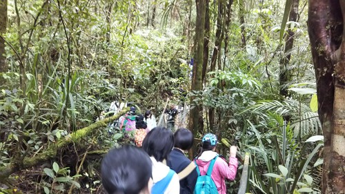IMG_20180323_214612.jpg