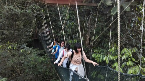 IMG_20180323_215530.jpg