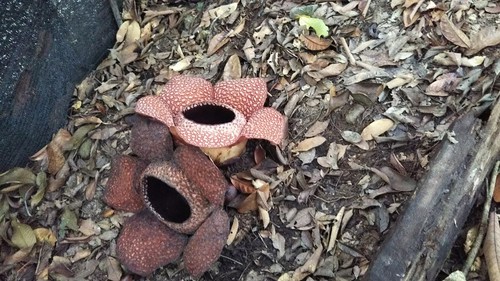 IMG_20180323_220125.jpg