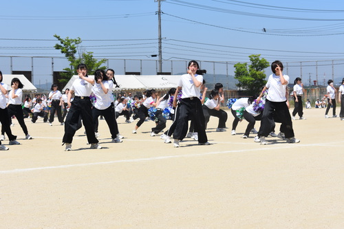 DSC_0710.JPG