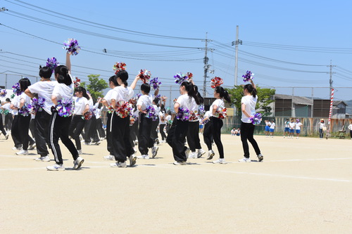 DSC_0720.JPG
