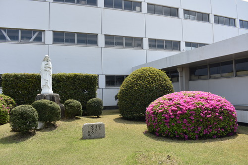 DSC_0266.JPG