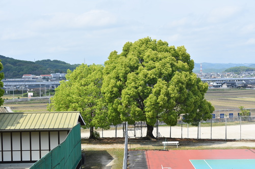 DSC_0290.JPG