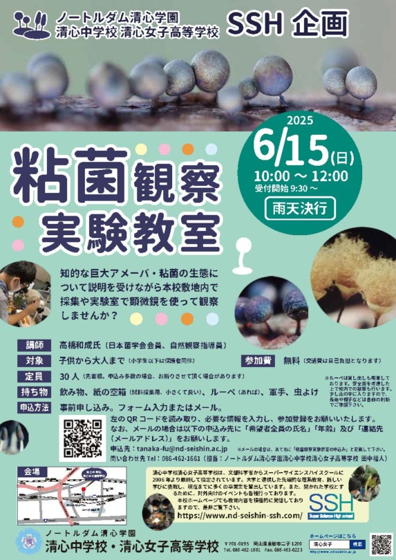 清心中学校・清心女子高等学校【SSH】粘菌観察実験教室2025